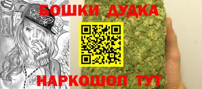 МДПВ Моздок