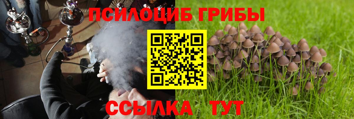 Галлюциногенные грибы GOLDEN TEACHER Щёлково