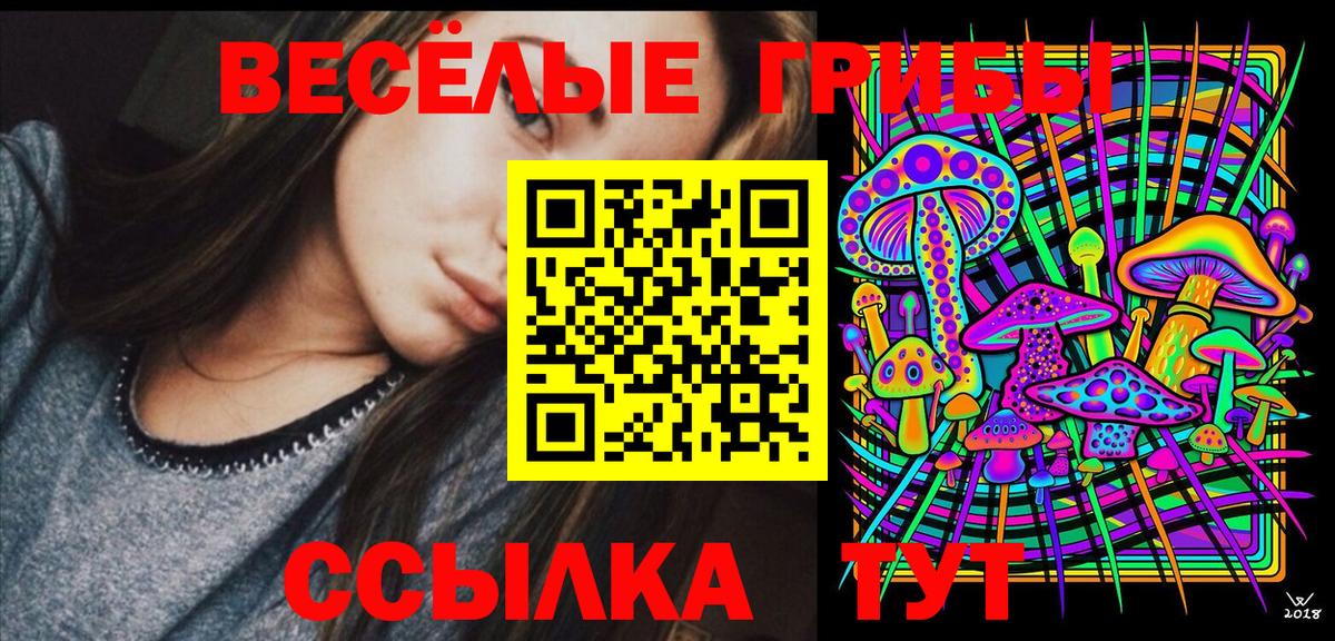 Галлюциногенные грибы MAGIC MUSHROOMS  купить   Щёлково  Вход с VPN 